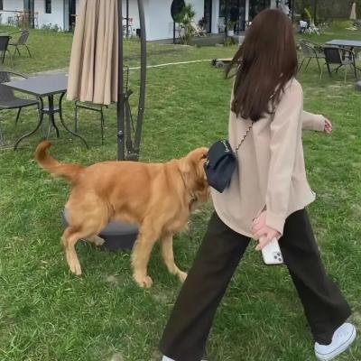 导尽我梦想:李察连利加